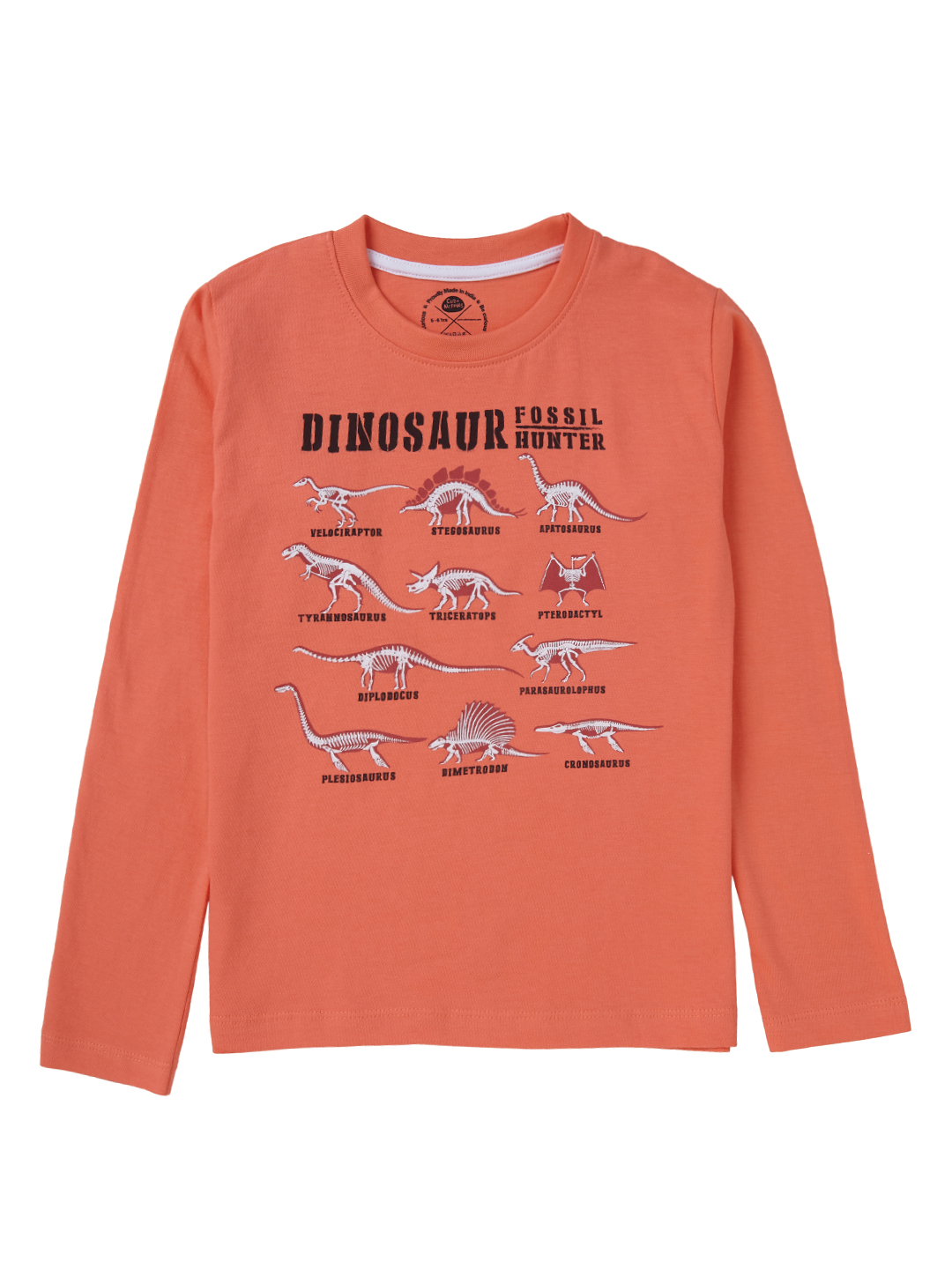 Brilliant Basics T-shirt for Boys - Dinosaur Print