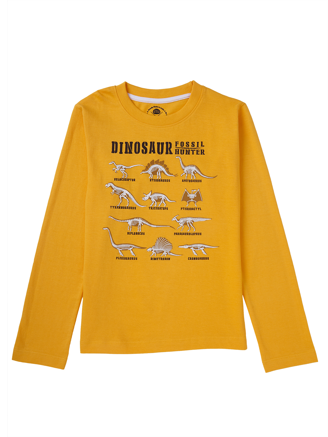 Brilliant Basics T-shirt for Boys  - Dinosaur Print
