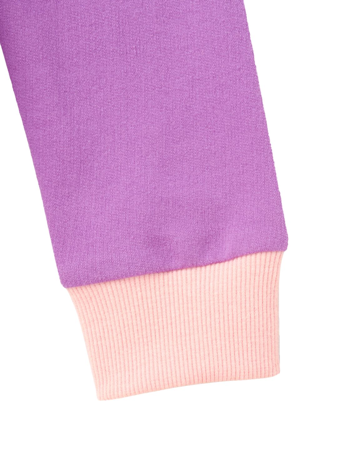 Buy Girls Sweatshirt - Sequin With Ruffled Sleeves - Purple Online at ...