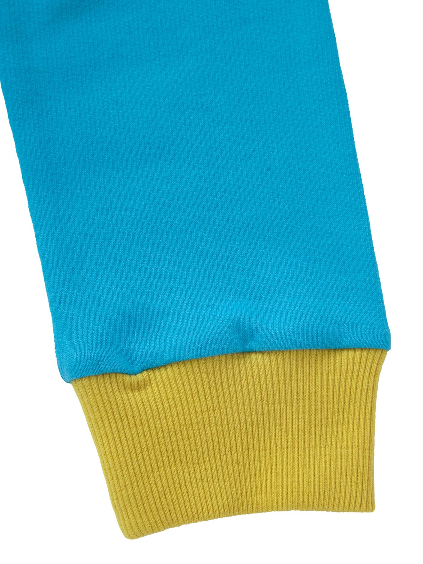 Boys Glacier Blue Hooded Sweatshirt by RuggedButts main image 1